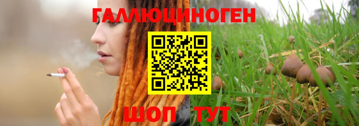 Губаха  Псилоцибиновые грибы ЛСД  Псилоцибиновые грибы MAGIC MUSHROOMS  Вход с VPN 